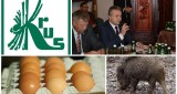 Agro wieści tygodnia: KRUS zostaje, salmonella w polskich jajach