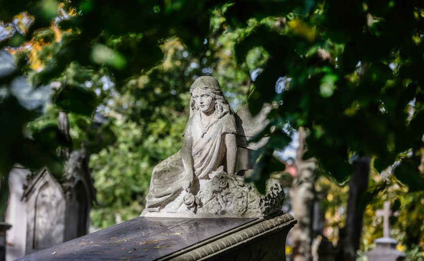 Najpiękniejsze zabytkowe nagrobki na Starym Cmentarzu w Rzeszowie. Zobacz zdjęcia!