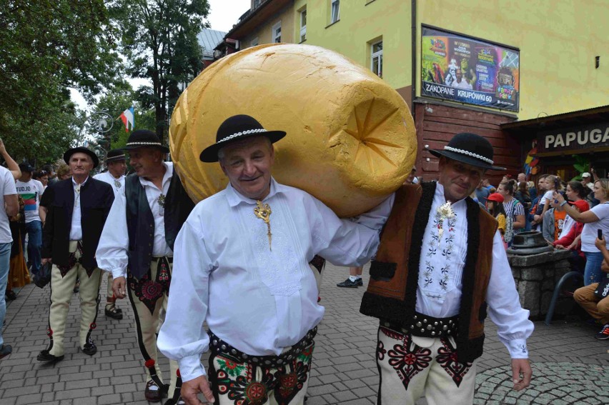 Festiwal Oscypka w Zakopanem. Bacowie pokazują jak robią sery [ZDJĘCIA]