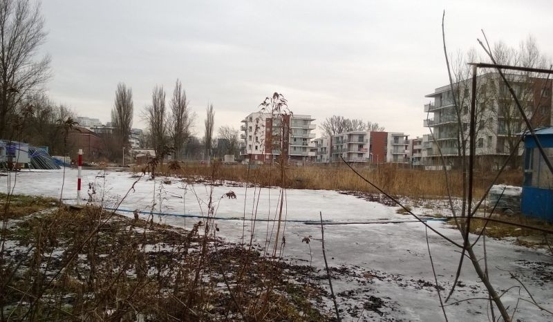 Nowy sklep sieci Lidl, zostanie wzniesiony na tej działce.