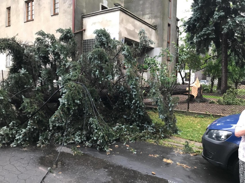 Burza w Łodzi. Nawałnica nad Łodzią. Powalone drzewa, gałęzie na drogach, zalane ulice [ZDJĘCIA]