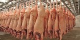 Piekło w niemieckich zakładach mięsnych. Polacy Polakom