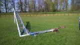 Wiceprezydent Rybnika balonem połamał bramkę na stadionie. Niechcący