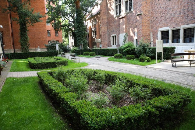 Ogród profesorski istnieje od XV wieku, w tym czasie pełnił różne role. Dziś można tu odpocząć w ciszy i spokoju w samym centrum miasta