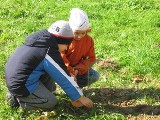 Przedszkolaki z Przemyśla zachęcają do sadzenia drzew
