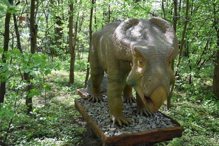 Z zimowego snu obudziły się dinozaury w Zatorlandzie. Dołączył do nich największy jaki żył i jaki wybudowano na świecie [ZDJĘCIA, WIDEO] 