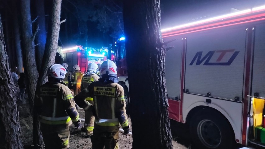 Informacja o pożarze lasu w miejscowości Bystrzek wpłynęła...