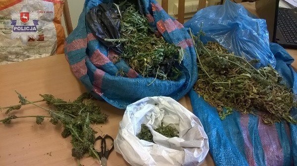 Marihuana zarekwirowana przez policjantów z Krasnegostawu