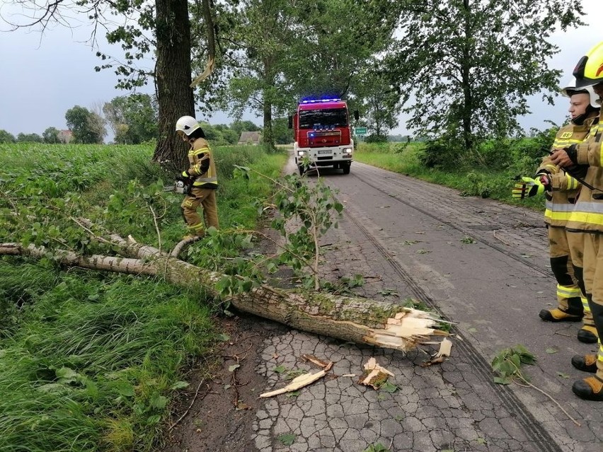 Jak informuje nas st. kpt. Jarosław Skotnicki z KP PSP...