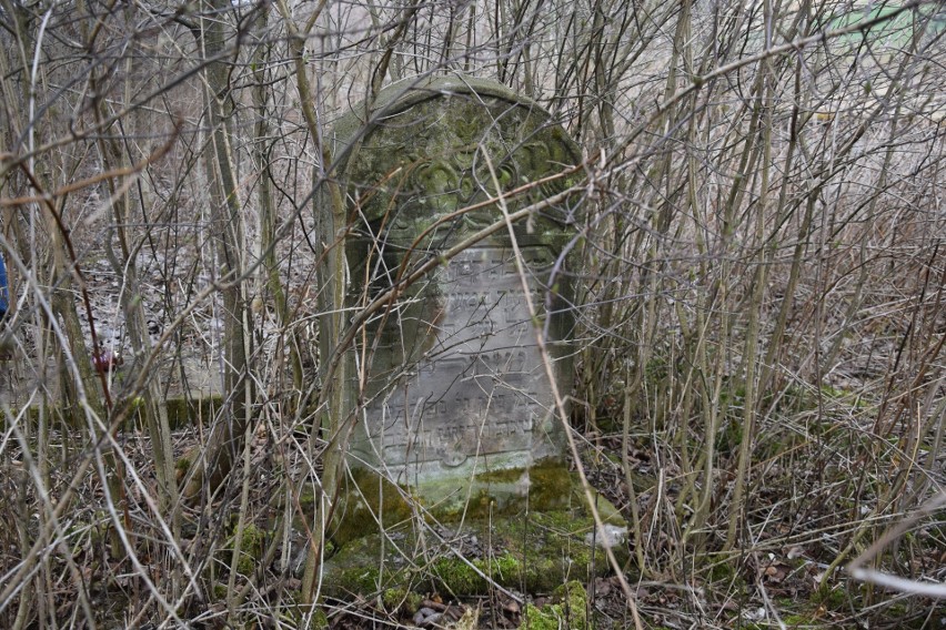 Żydowski cmentarz w Siedleczce w gm. Kańczuga od wielu lat...
