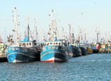 Bałtyk: Limity połowowe dorszy w 2015 roku będą zmniejszone? 