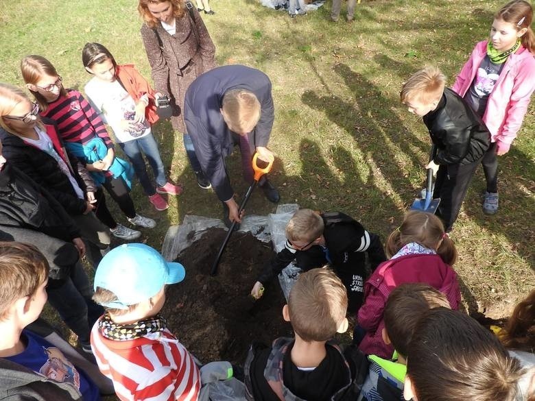 Radna KO chce, by Białystok się zazielenił. Miasto twierdzi, że to nie takie proste