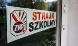 Strajk nauczycieli w Stalowej Woli i powiecie stalowowolskim. Te szkoły będą zamknięte (LISTA)
