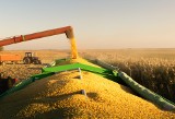 Trudna sytuacja na rynku zbóż, ceny w skupie wciąż niskie. Będą dopłaty do kukurydzy?