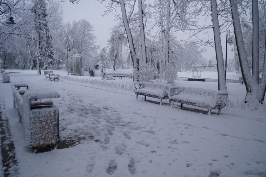 Nagły atak zimy w powiecie radomszczańskim zakończył się...