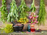 Jakie zioła zbierać we wrześniu? Rośliny, którymi uzupełnisz domową apteczkę na wypadek przeziębienia i grypy. Zobacz, jak przechowywać zioł
