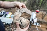 Skupisko grodów nad Biebrzą i Supraślą. Odkryli je archeolodzy 