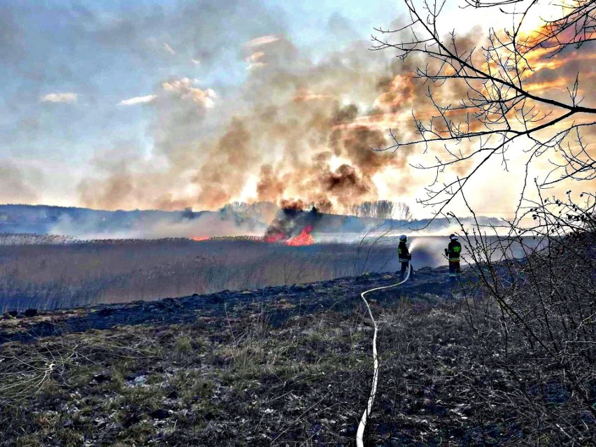 Fali pożarów w gminie Odrzywół sprzyja susza.