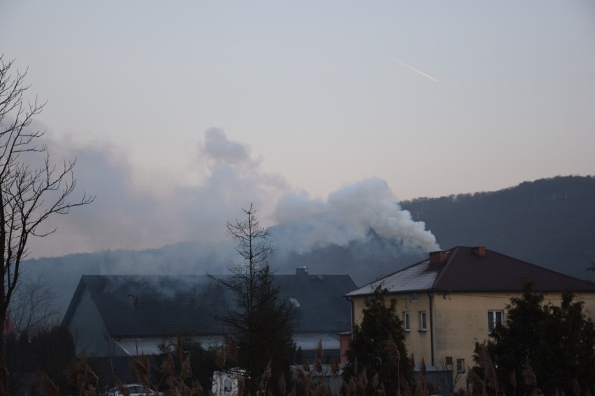 Samorządowcy gminy Zabierzów planują wprowadzić zakaz...