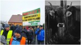 Agro wieści tygodnia: protesty, afera wokół ubojni, ASF, targi w Nadarzynie 2019