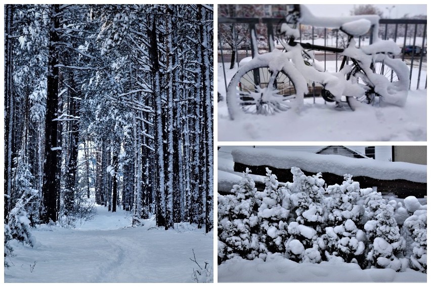 Atak zimy oczami użytkowników Instagrama. Zobaczcie najciekawsze zdjęcia z Podlasia  