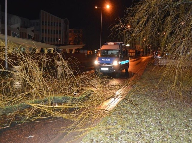 Wichura nadciągnęła nad kujawsko-pomorskie w sobotę późnym popołudniem. Do rana strażacy byli wzywani na interwencje ponad 400 razy. W większości przypadków chodziło o konieczność usunięcia drzew powalonych na drogi.