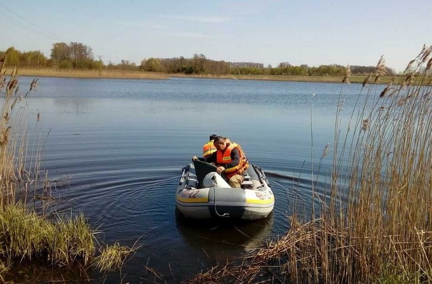 Łabędź uwięziony w lince wędkarskiej! Na pomoc ruszyli strażnicy i strażacy