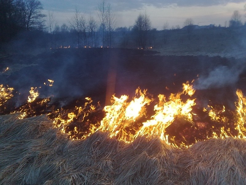 Wypalanie łąk (tu nad rzeką Kamionką w Suchedniowie)...