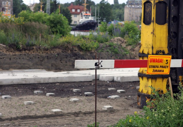 Wyspa Gryfia: Jaskółki zamieszały przy budowie mostuNorki jaskółek brzegówek w skarpie są widoczne.