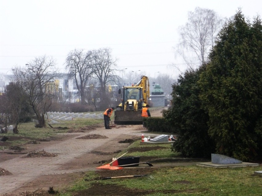 Wycięto wszystkie drzewa na cmentarzu oficerów radzieckich
