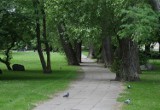 Spór o park w Gdyni. Bolesna porażka urzędników 