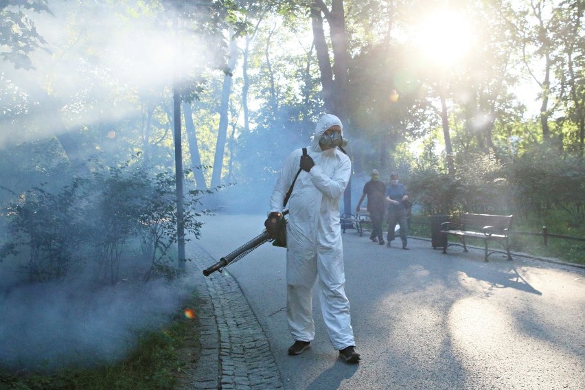 Za przeprowadzanie akcji odkomarzania we Wrocławiu...