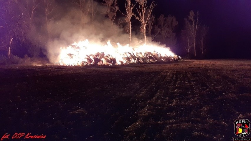 Dziś w nocy (6 września) w gminie Kruszwica spłonął kolejny...