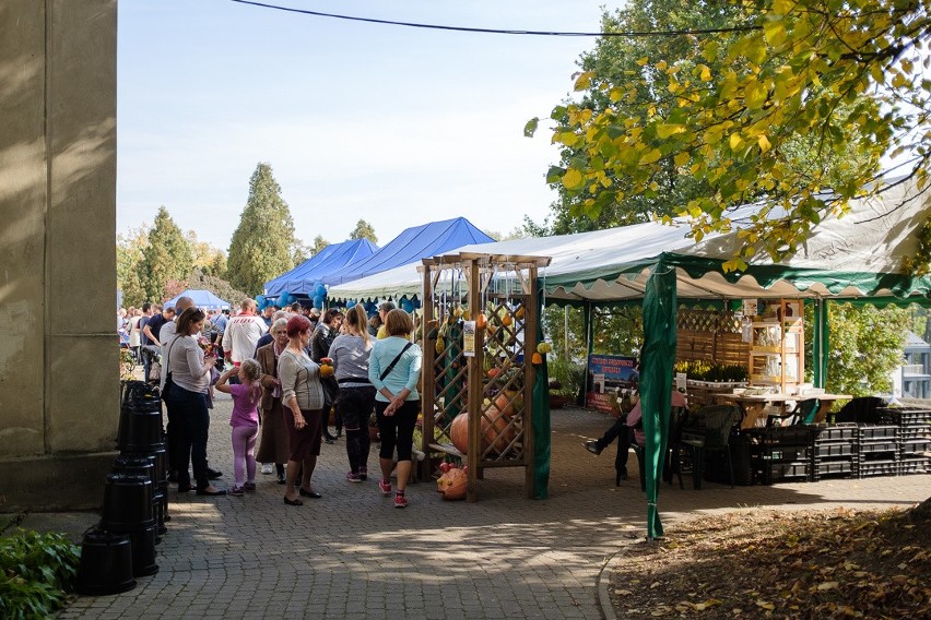 Tarnów. Piknik Ogrodniczy w Parku Sanguszków [ZDJĘCIA]