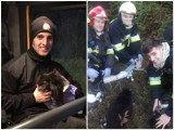 Strażacy z Zamościa uratowali z pożaru trzy kotki. Zwierzaki były reanimowane. Zobacz zdjęcia