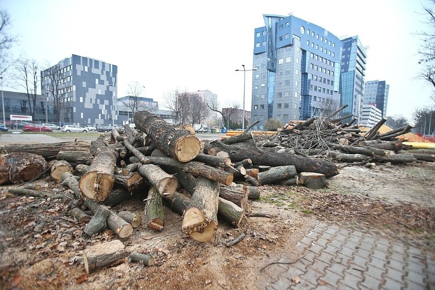 Tak powstaje torowisko tramwajowe na Nowy Dwór