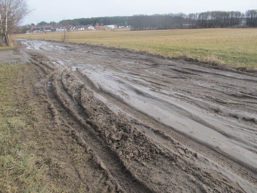 Zdjęcia  zostały zrobione właśnie po wyrównaniu drogi -...