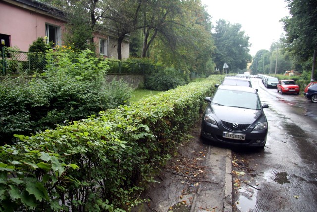 Część mieszkańców LSM chce, by kosztem żywopłotu stworzyć tutaj parking. Miasto ma w planach remont ul. Wallenroda 