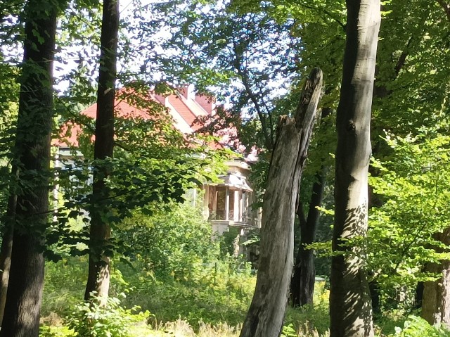 Pałac w Maciejowcu był imponujący. Dzisiaj zza drzew trudno dostrzec budowlę. Niestety, popada w ruinę.