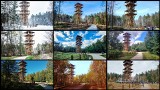 9 przepięknych zdjęć Geoparku Łuk Mużakowa w różnych porach roku. Geościeżka Dawna Kopalnia Babina prezentuje się niesamowicie!