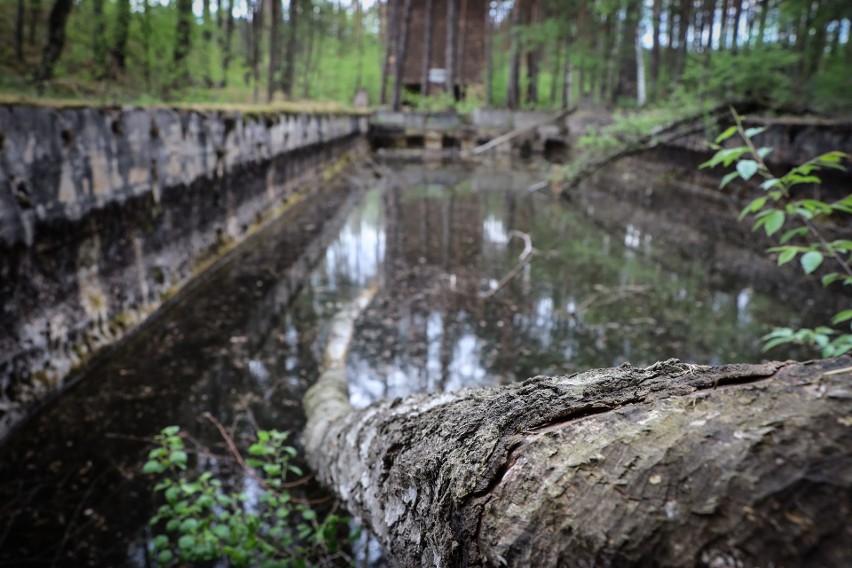 Tajemniczy system kanałów sprawia, że Krzystkowice działają...