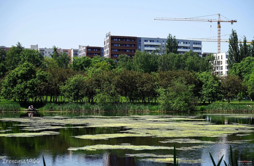 Dzielnica Osiedle Paderewskiego - Muchowiec. Rozległy...