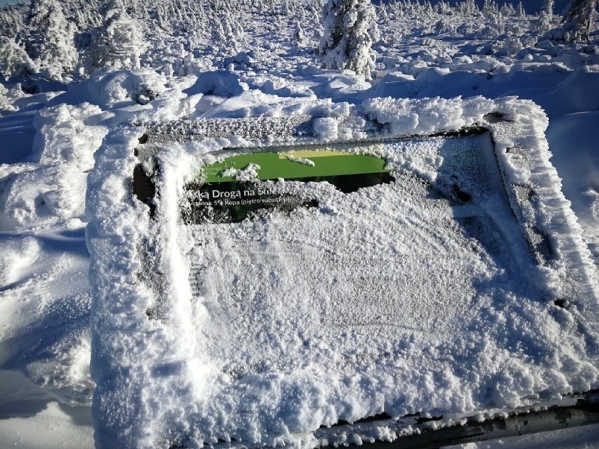 W Karkonoszach zrobiła się zima. Pierwszy śnieg spadł na Śnieżce! [ZDJĘCIA]