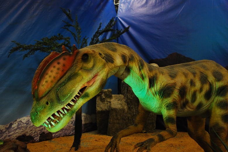 Dinozaury w Chorzowie na wystawie w Śląskim Centrum Targowym