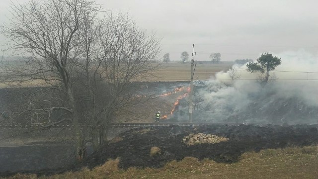 W ostatnim czasie odnotowano lawinowy wzrost ilości pożarów traw w regionie w związku z rosnącą temperaturą powietrza i brakiem opadów.