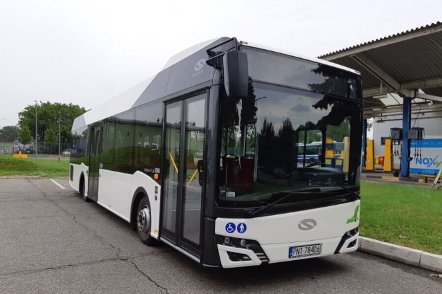 Autobus ma ok. 12 metrów długości i waży blisko 9,5 tony.