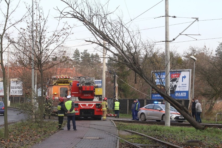 Pogoda płata nam figle, ostatnio coraz częściej mamy do...