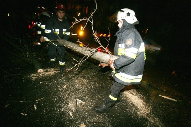 Strażacy usuwają przewrócone drzewo