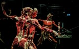 BODY WORLDS. Wystawa "Doktora Śmierci" po raz pierwszy w Trójmieście. Kontrowersyjna ekspozycja w Galerii Metropolia 