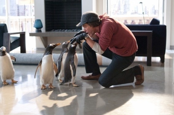 Jim Carrey jako właściciel stadka pingwinów w kinie "Światowid"